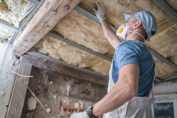 Best Insulation for Specific Applications in Skagway, AK