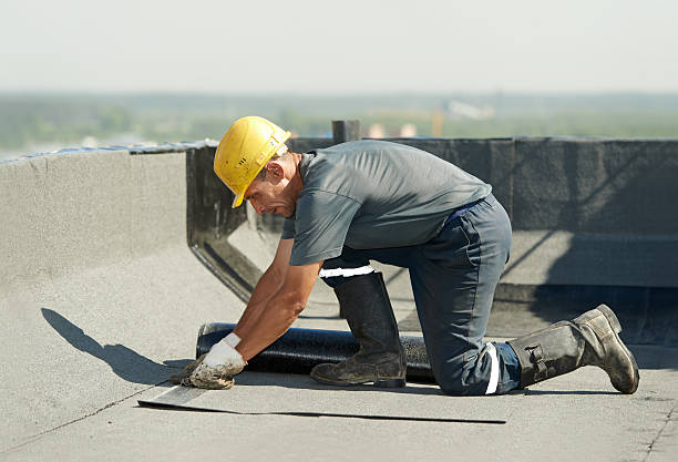 Best Insulation Installation Services in Skagway, AK
