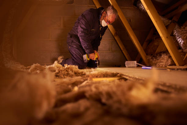 Best Residential Insulation in Skagway, AK